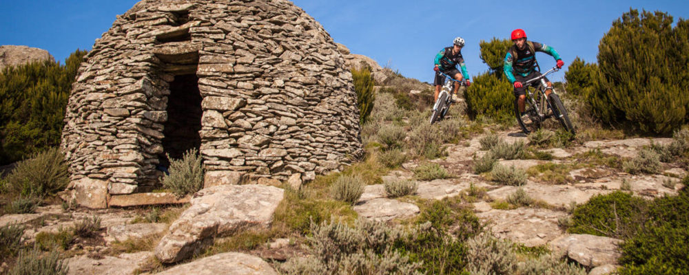 freeride 2